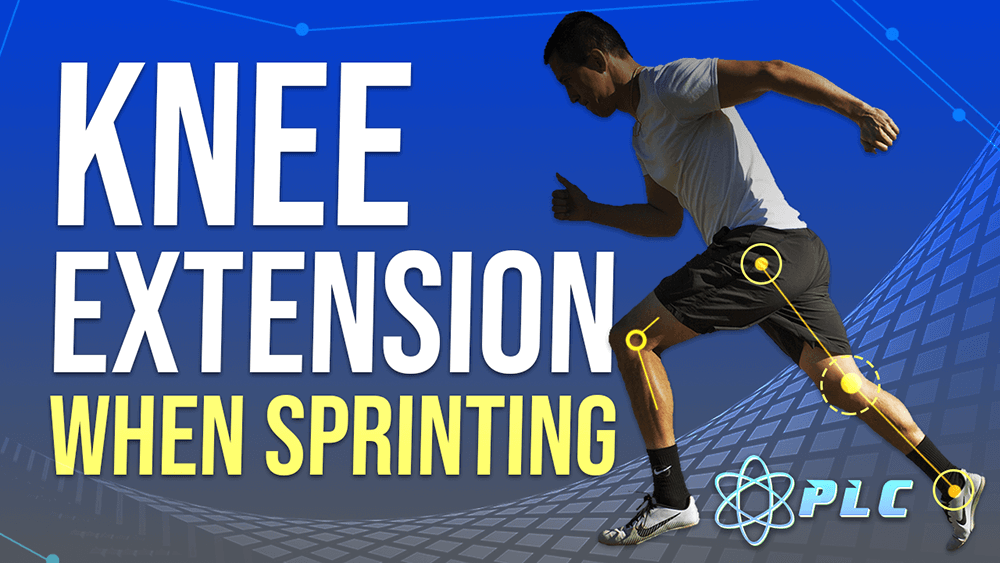 Knee Extension When Sprinting | What To Train To Get Faster - Your Performance Shop